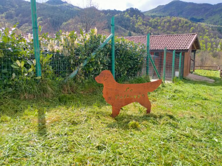 PHOTO-2025-04-24-11-19-53