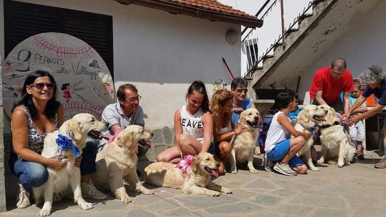 WhatsApp Image 2025-09-02 at 16.30.21